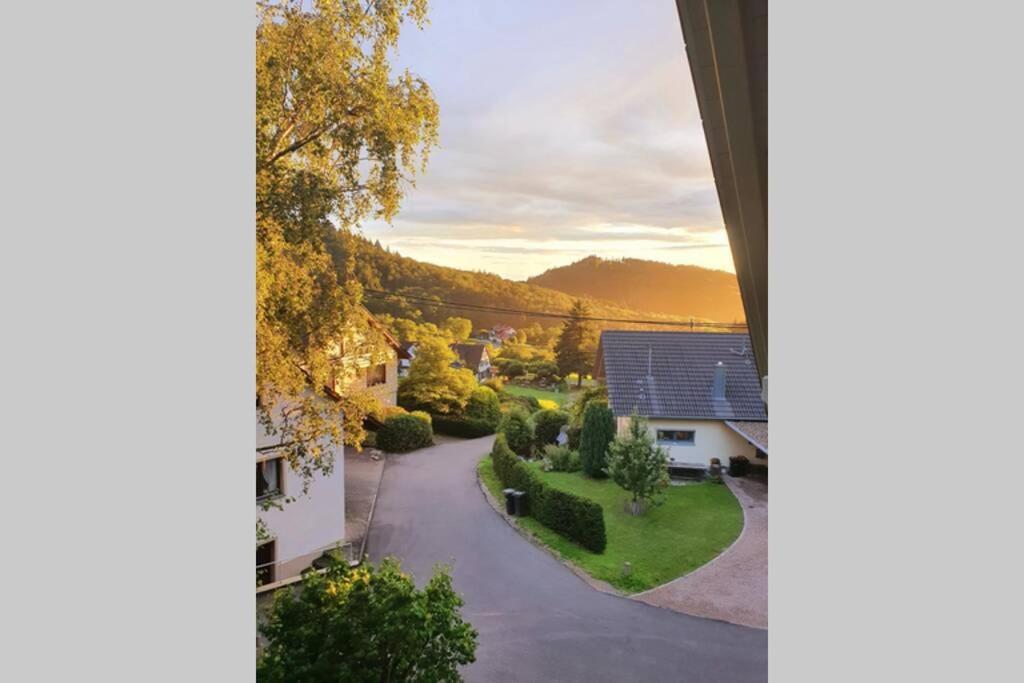 Ferienwohnung Am Musbach In Badenweiler-Sehringen Zewnętrze zdjęcie