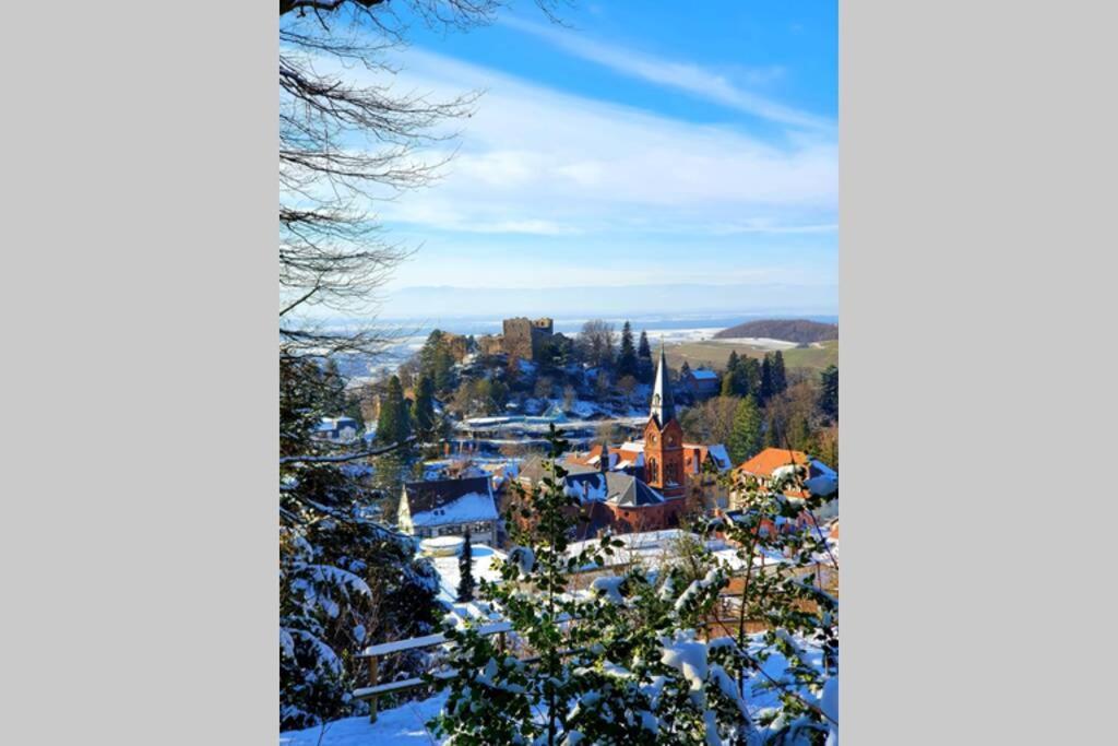 Ferienwohnung Am Musbach In Badenweiler-Sehringen Zewnętrze zdjęcie