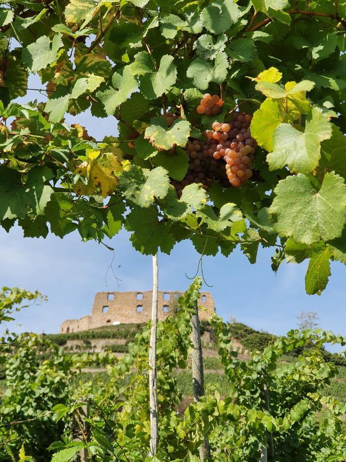 Ferienwohnung Am Musbach In Badenweiler-Sehringen Zewnętrze zdjęcie