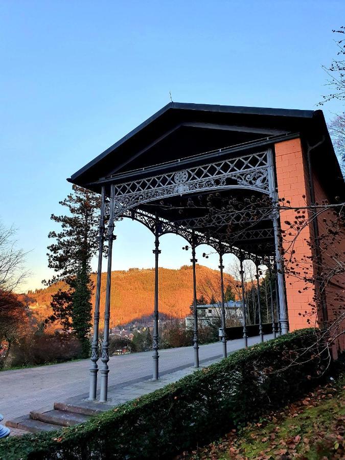 Ferienwohnung Am Musbach In Badenweiler-Sehringen Zewnętrze zdjęcie